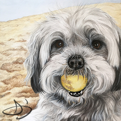 Beach Dog Portrait Drawing