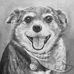 Dog drawing of Francie from Chicago