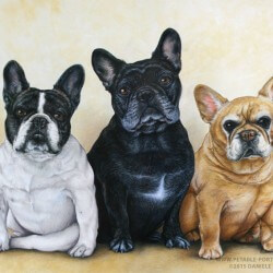 French Bulldog Portrait Painting