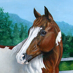 Paint Horse Portrait Painting