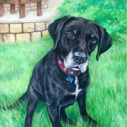 Portrait painting of a black dog