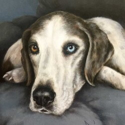 Dog Portrait Painting