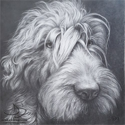 Dog Portrait Painting