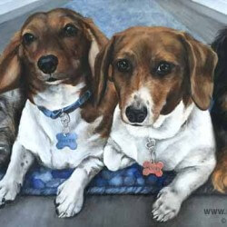 Dachshund Dog Portrait Painting