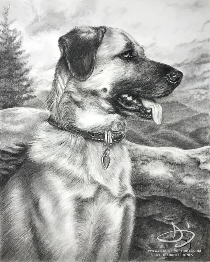 Dog Portraits Dog Drawing Portraits Paintings, Charcoal