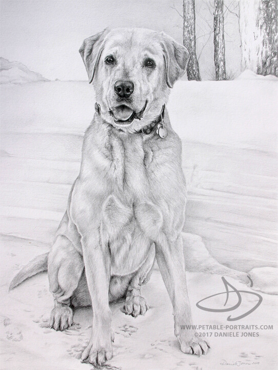 Dog Drawing