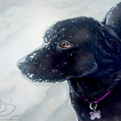 Dog Portrait Painting