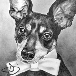 Franklin Dog Portrait Art Drawing