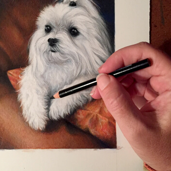 Pet Portrait Artist Daniele Jones