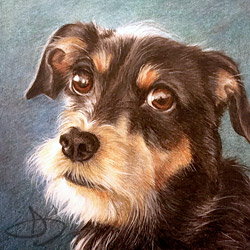 Jack Russell mix Pet Portrait