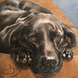 Yellow Labrador Dog Portrait Painting