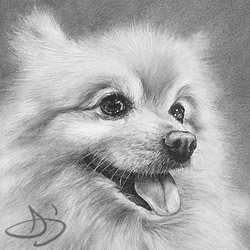 Pet Portrait of Dogs