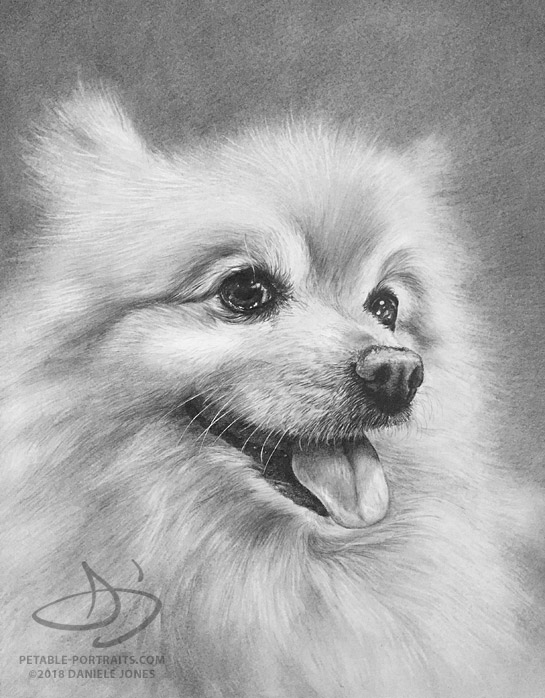 Dog Drawing