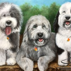 Sheepdog Portrait Painting