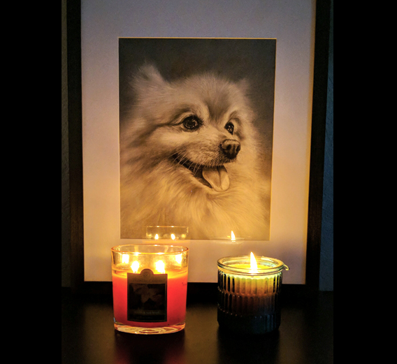 Pomeranian Dog Drawing shrine